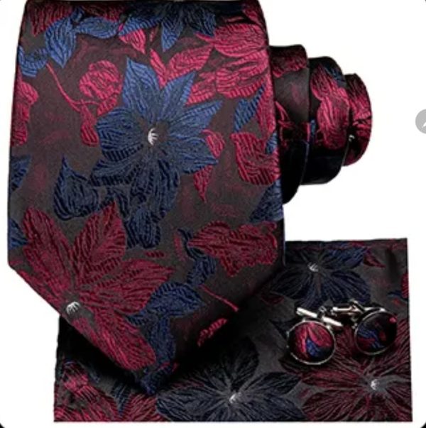 Navy and Red Floral Tie Set